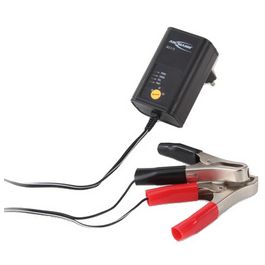 ANSMANN Chargeur pour batterie de voiture, 2 / 6 et 12 Volt