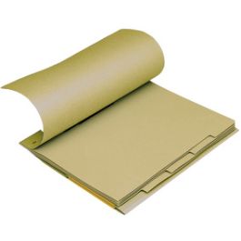 ELBA Mehrfach-Pendelhefter, DIN A4, Natronkarton, 320 g/qm x20