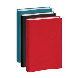 EXACOMPTA Agenda "La journée planifiée 21", 2027, assorti x3