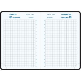 EXACOMPTA Agenda de poche Journal 13 Quadrillé 2027, assorti