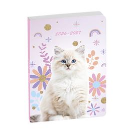 EXACOMPTA Agenda scolaire FORUM Lovely, 2026/2027 x12