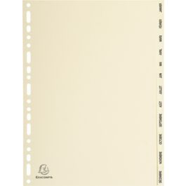 EXACOMPTA Intercalaires carte peau d'âne, mensuel Jan-Déc