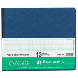 EXACOMPTA Piqûre tête paresseuse, 30 colonnes sur 2 pages