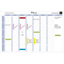 EXACOMPTA Planning magnétique mensuel Exaplanner