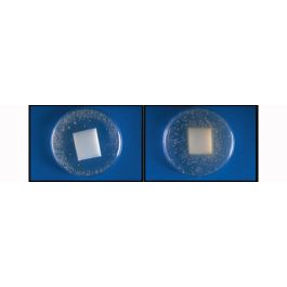 Fellowes Repose-pieds Office Suites Microban, réglable