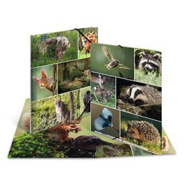 HERMA Chemise à élastiques "Animaux de la forêt", carton, A3