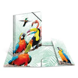 HERMA Chemise à élastiques Animaux exotiques, A3, oiseaux