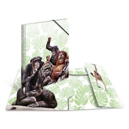 HERMA Chemise à élastiques Animaux exotiques, A3, singes