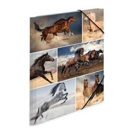 HERMA Chemise à élastiques "Chevaux", en carton, A4