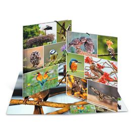 HERMA Chemise à élastiques "Oiseaux", carton, A4