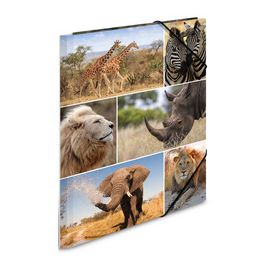 HERMA Chemise à élastiques "animaux d'afrique", en carton,