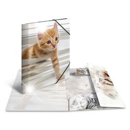 HERMA Chemise à élastiques "chats", PP Glossy, A3