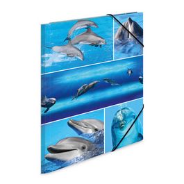 HERMA Chemise à élastiques "delphine", en carton,