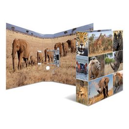 HERMA Classeur à levier "Animals", A4, animaux d'Afrique