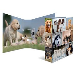 HERMA Classeur à levier à motifs "Animals", A4, chiens