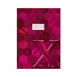 HERMA Heftschoner X, aus Karton, DIN A4, weinrot x10