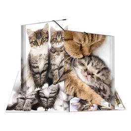 HERMA chemise élastique "chats", en PP, A3