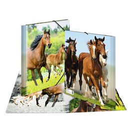 HERMA chemise élastique "chevaux", en PP, A3,