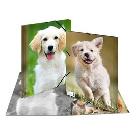 HERMA chemise élastique "chiens", en PP, A3,