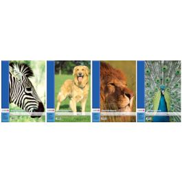 LANDRÉ Bloc à dessin A3, 100 g/m2, 20 feuilles, perforé