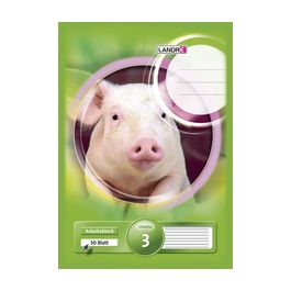 LANDRÉ Bloc scolaire "pro terra", format A4, linéature 1