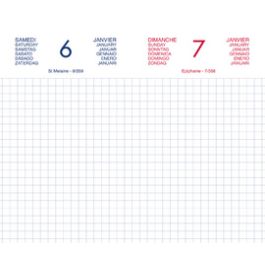 LECAS Agenda journalier Chantier, 2027, 90 x 150 mm, assorti