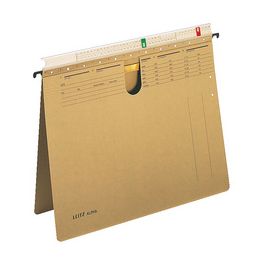 LEITZ ALPHA Hängehefter, A4, mit Organisationsleiste, natron x25