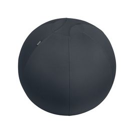 LEITZ Ballon d'assise Ergo Active, diamètre: 650 mm, gris