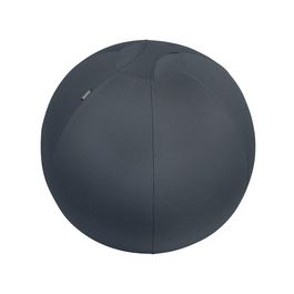 LEITZ Ballon d'assise Ergo Cosy, diamètre: 650 mm, gris