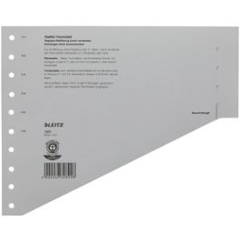 LEITZ Intercalaires-échelon, format A4 extra large, gris