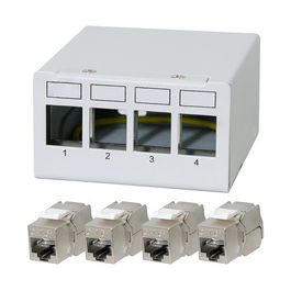 LogiLink Panneau de brassage cat.6A, 12 ports, gris clair