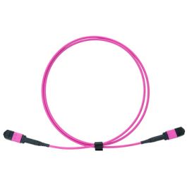 LogiLink Câble patch MPO, 12 fibres, Multimode, OM4, 1 m