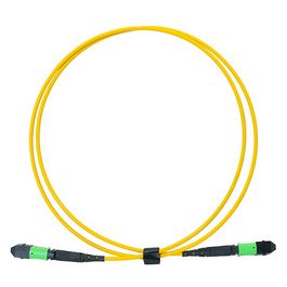 LogiLink Câble patch MPO, 12 fibres, Singlemode, OS2, 2 m