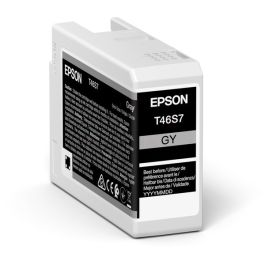 Cartouche d'origine C13T46S700 / T46S7 Epson - grise