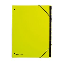 PAGNA Trieur Trend, A4, 10 compartiments, vert tilleul