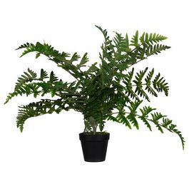 PAPERFLOW Plante artificielle "fougère", hauteur: 550 mm