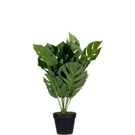 PAPERFLOW Plante artificielle "monstera", hauteur: 450 mm