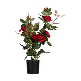 PAPERFLOW Plante artificielle "rosier", (H)540 mm, rouge