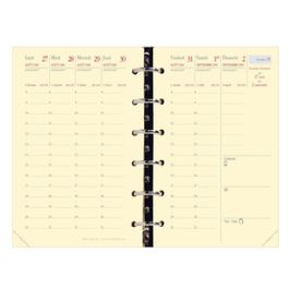 QUO VADIS Recharge "Timer 14 Prestige", 2025/2026, 16 mois