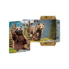 RNK Verlag Carton à dessin "Ours", A3