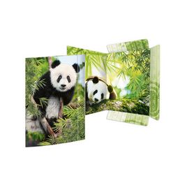 RNK Verlag Carton à dessin "Panda", A3