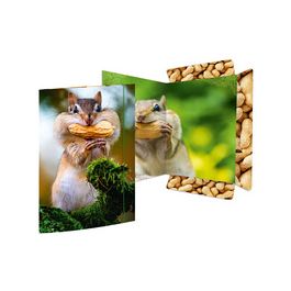 RNK Verlag Carton à dessin "Écureuil", A3