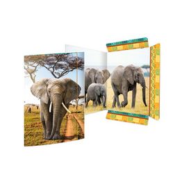 RNK Verlag Carton à dessin "Élephant", A3