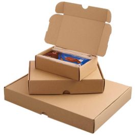 Smartboxpro Carton d'expédition maxi, (L)175x(P)115x(H)45 mm x25