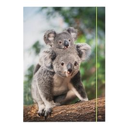 folia Pochette de rangement à dessins BASIC "Jungle Cuties"