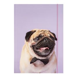 folia Pochette de rangement à dessins BASIC "Puggy Love", A3