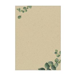 sigel Papier design, papier "Eucalyptus", A4, 100 g/m2