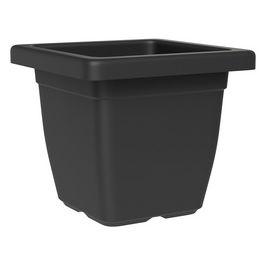 tera Soucoupe "Nazca", largeur: 290 mm, anthracite